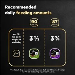 Cesar Classic Loaf In Sauce Top Sirloin & Grilled Chicken Flavors Variety Pack Grain-Free Small Breed Adult Wet Dog Food Trays 15 Cesar Classic Loaf In Sauce Top Sirloin & Grilled Chicken Flavors Variety Pack Grain-Free Small Breed Adult Wet Dog Food Trays -Pet Wellness 86452 PT6. AC SS1800 V1695752284