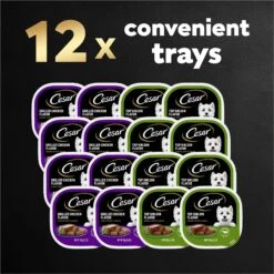 Cesar Classic Loaf In Sauce Top Sirloin & Grilled Chicken Flavors Variety Pack Grain-Free Small Breed Adult Wet Dog Food Trays 17 Cesar Classic Loaf In Sauce Top Sirloin & Grilled Chicken Flavors Variety Pack Grain-Free Small Breed Adult Wet Dog Food Trays -Pet Wellness 86452 PT8. AC SS1800 V1695676401