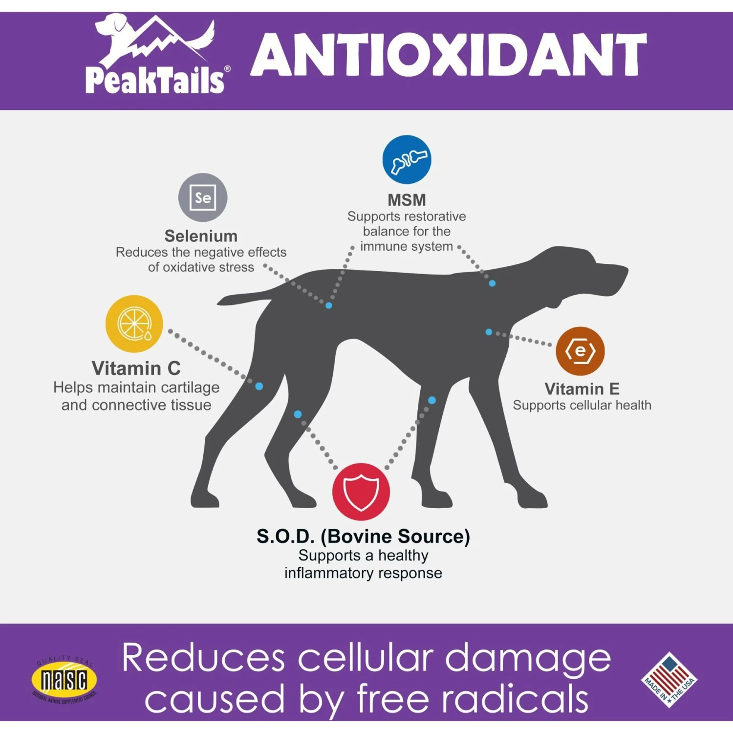 PeakTails Antioxidant Tablet Supplement For Dogs 2 PeakTails Antioxidant Tablet Supplement For Dogs - Image 2