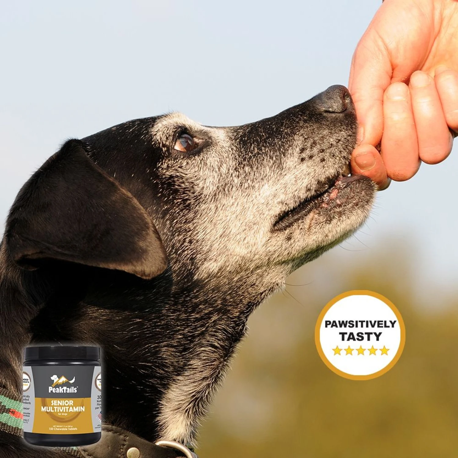PeakTails Senior Multivitamin Tablet Supplement For Dogs 6 PeakTails Senior Multivitamin Tablet Supplement For Dogs - Image 6