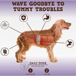 Jack & Pup Bark Buddies Pro-Digest Dog Supplement, 60 Count -Pet Wellness 871446 PT2. AC SS1800 V1686258119