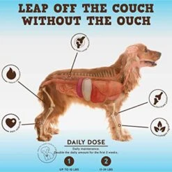 Jack & Pup Bark Buddies Flex-Agility Hip & Joint Dog Supplement, 60 Count -Pet Wellness 871462 PT2. AC SS1800 V1686258121