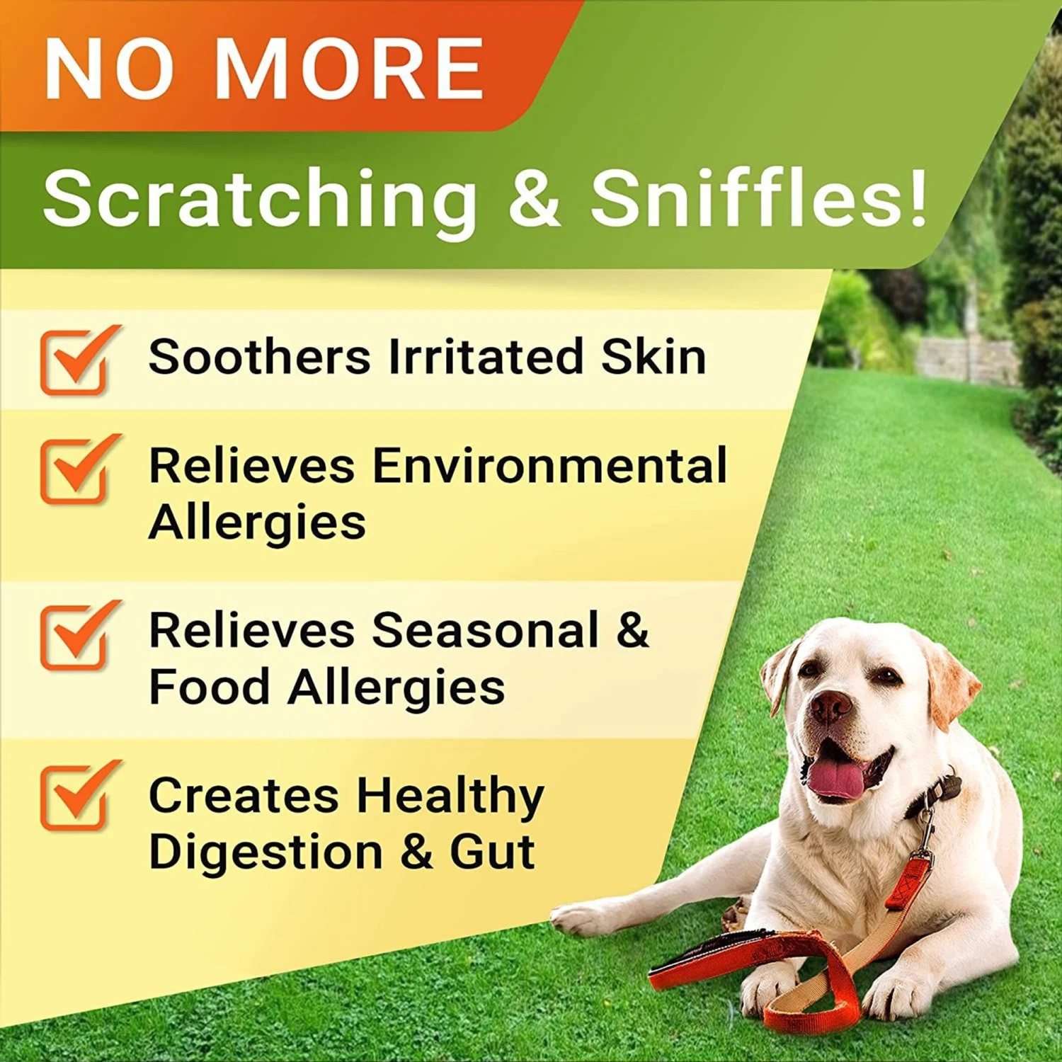 StrellaLab Anti Itch Allergy Relief Omega Peanut Butter Dog Chews 2 StrellaLab Anti Itch Allergy Relief Omega Peanut Butter Dog Chews - Image 2