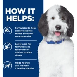 Hill's Prescription Diet C/d Multicare Urinary Care Chicken Flavor Dry Dog Food 12 Hill's Prescription Diet C/d Multicare Urinary Care Chicken Flavor Dry Dog Food -Pet Wellness 87463 PT3. AC SS1800 V1651194158