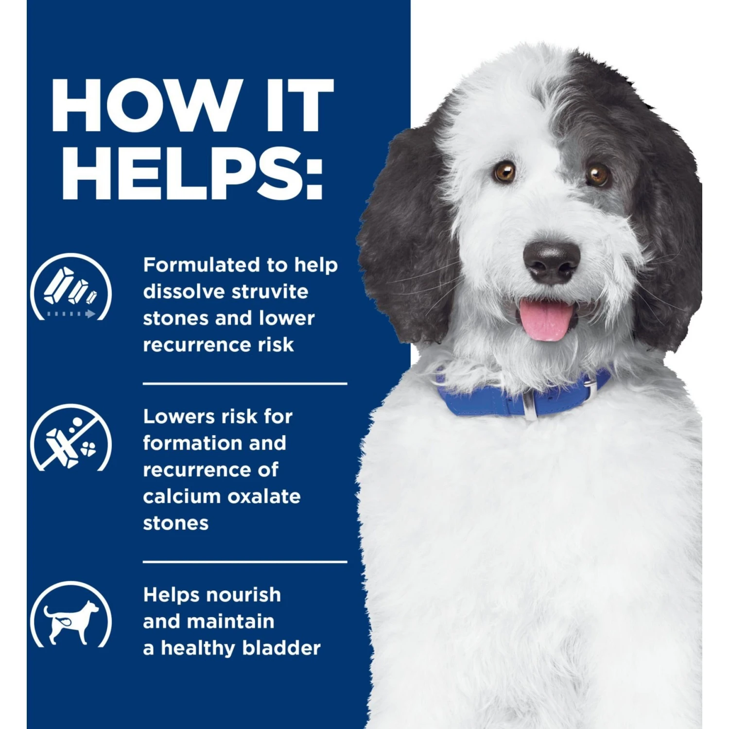 Hill's Prescription Diet C/d Multicare Urinary Care Chicken Flavor Dry Dog Food 4 Hill's Prescription Diet C/d Multicare Urinary Care Chicken Flavor Dry Dog Food - Image 4