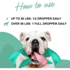 Wonder Paws Hemp Oil With Wild Salmon Oil Calming Supplement For Dogs, 2-oz Bottle -Pet Wellness 877398 PT3. AC SS1800 V1686942358