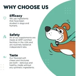 Wonder Paws Hemp Oil With Wild Salmon Oil Calming Supplement For Dogs, 2-oz Bottle -Pet Wellness 877398 PT5. AC SS1800 V1686942945