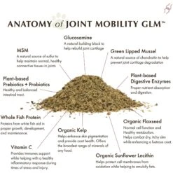 Wholistic Pet Organics Joint Mobility GLM Dog & Cat Supplement, 4-lb Bottle 11 Wholistic Pet Organics Joint Mobility GLM Dog & Cat Supplement, 4-lb Bottle -Pet Wellness 877934 PT5. AC SS1800 V1689960579