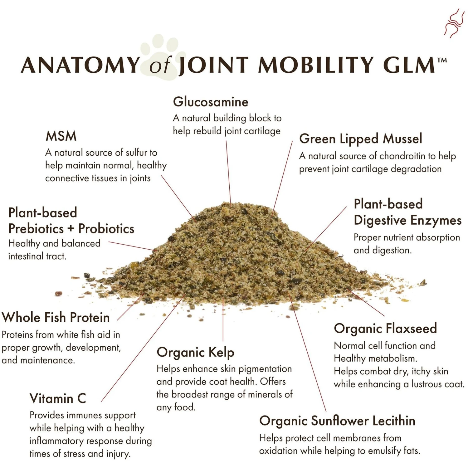 Wholistic Pet Organics Joint Mobility GLM Dog & Cat Supplement, 4-lb Bottle 5 Wholistic Pet Organics Joint Mobility GLM Dog & Cat Supplement, 4-lb Bottle - Image 5