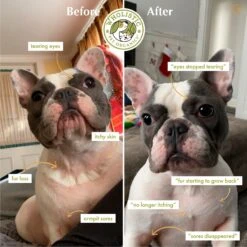 Wholistic Pet Organics Immune Balance Dog & Cat, 2-oz Bottle -Pet Wellness 878030 PT5. AC SS1800 V1689960580