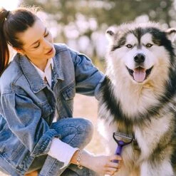 Ruff 'N Ruffus Upgraded Gel-Handle Double-Sided Rake Brush For Dogs, Purple -Pet Wellness 878390 PT6. AC SS1800 V1688071745