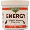Animal Essentials Energy Cordyceps Mushroom Cat & Dog Vitamin Supplement, 80-gm Jar