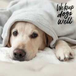 Dogswell Remedy+Recovery Pet Wormer For Dogs & Cats, 8-oz Bottle 14 Dogswell Remedy+Recovery Pet Wormer For Dogs & Cats, 8-oz Bottle -Pet Wellness 887718 PT6. AC SS1800 V1692798053