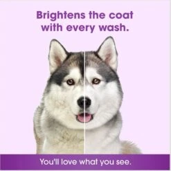Friday's Dog Mega Brilliance Fur Whitening & Brightening Dog Shampoo, 12-oz Bottle -Pet Wellness 889334 PT3. AC SS1800 V1690382950