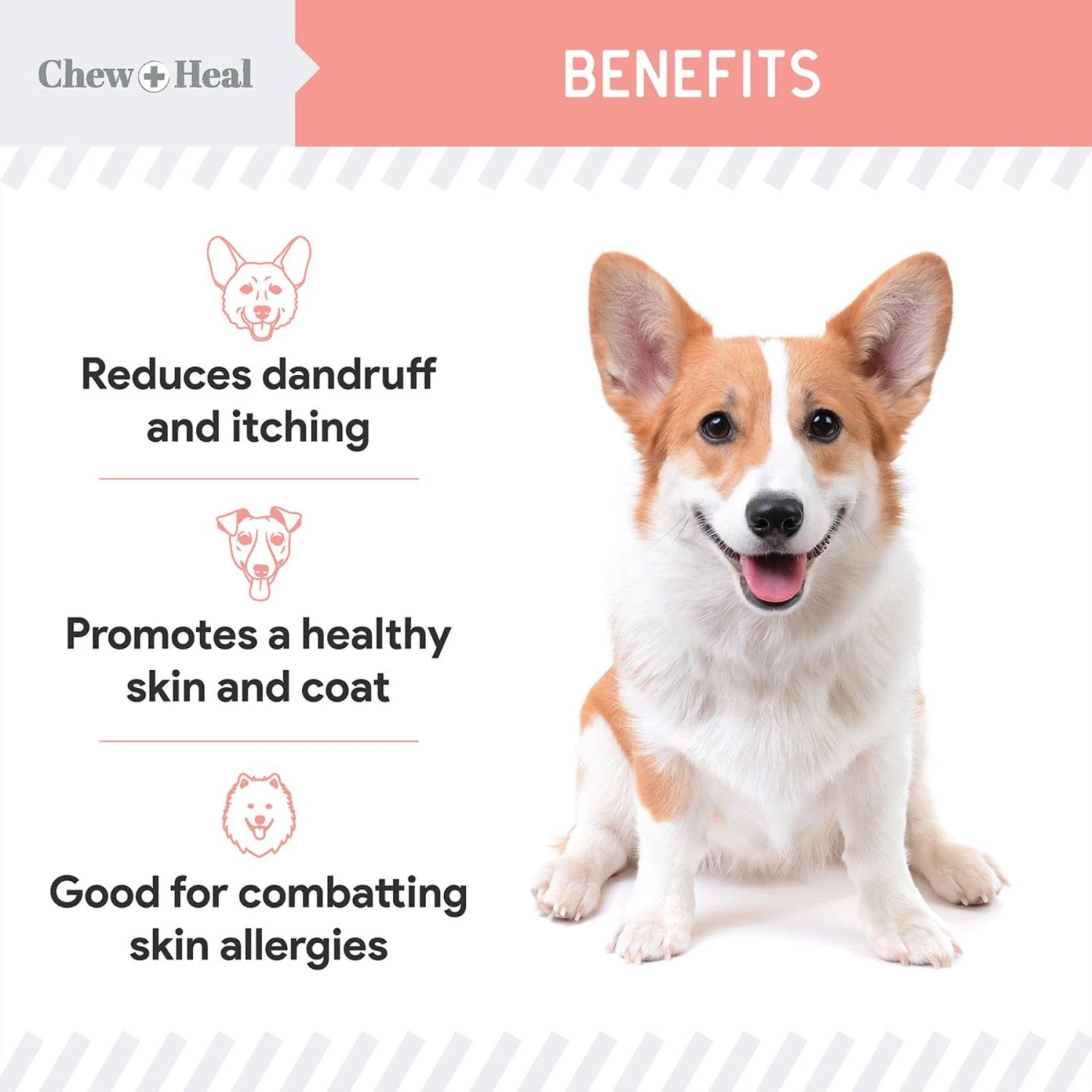 Chew + Heal Pure Wild Alaskan Omega Salmon Oil Skin & Coat Liquid Supplement For Dogs 7 Chew + Heal Pure Wild Alaskan Omega Salmon Oil Skin & Coat Liquid Supplement For Dogs - Image 7