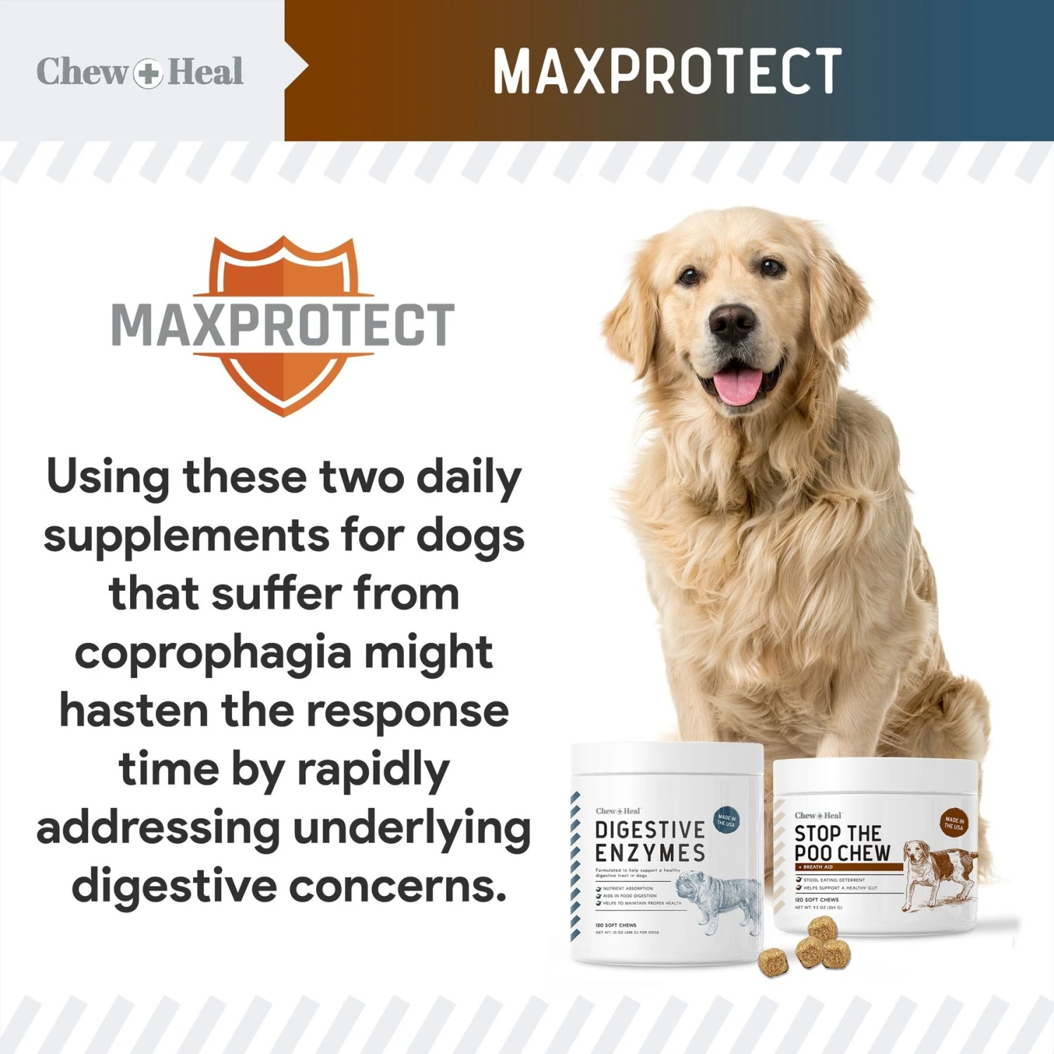 Chew + Heal MaxProtect Coprophagia & Digestive Soft Chew Supplement For Dogs, 240 Count 2 Chew + Heal MaxProtect Coprophagia & Digestive Soft Chew Supplement For Dogs, 240 Count - Image 2