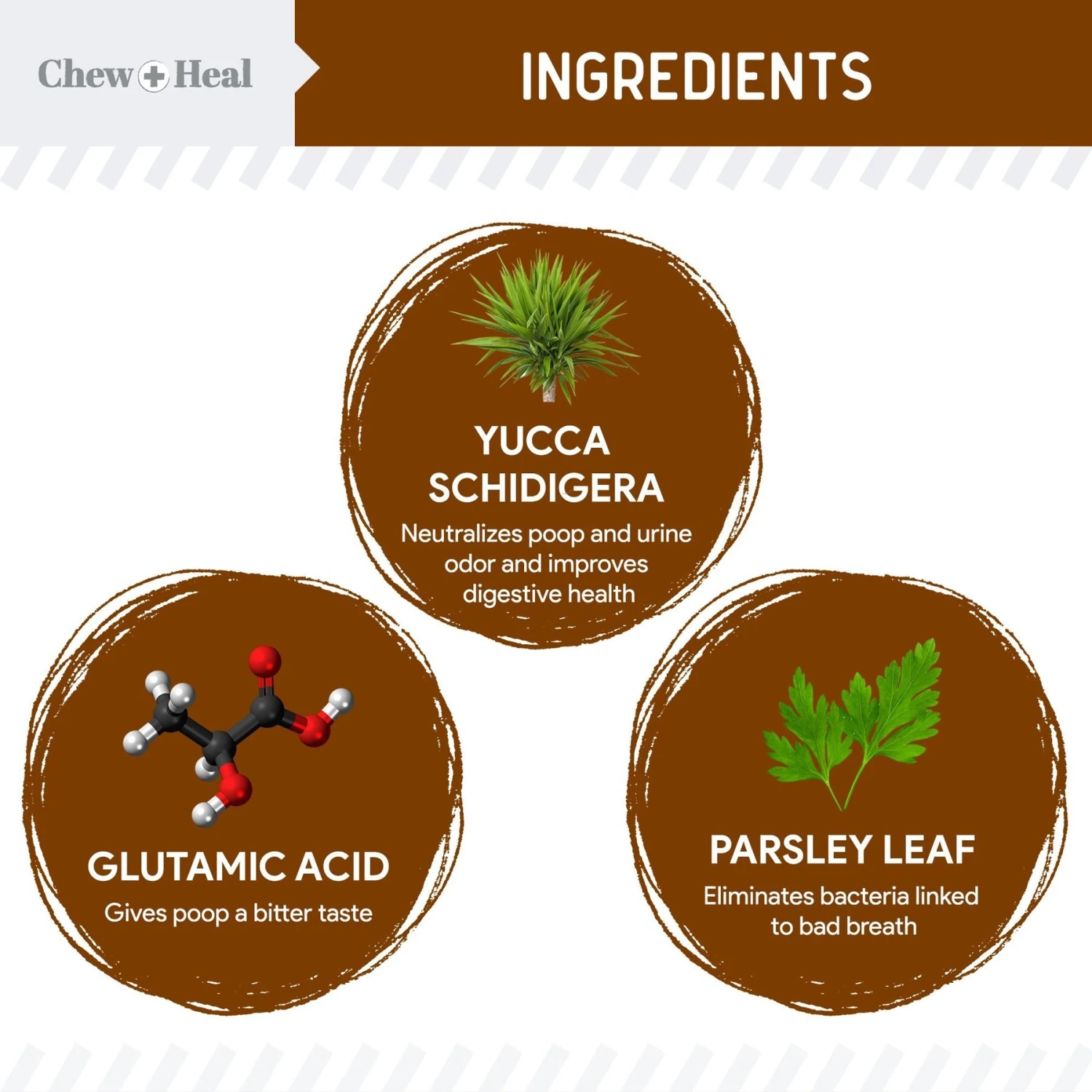 Chew + Heal MaxProtect Coprophagia & Digestive Soft Chew Supplement For Dogs, 240 Count 3 Chew + Heal MaxProtect Coprophagia & Digestive Soft Chew Supplement For Dogs, 240 Count - Image 3