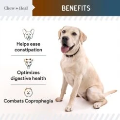 Chew + Heal MaxProtect Coprophagia & Digestive Soft Chew Supplement For Dogs, 240 Count 12 Chew + Heal MaxProtect Coprophagia & Digestive Soft Chew Supplement For Dogs, 240 Count -Pet Wellness 889566 PT4. AC SS1800 V1686942421