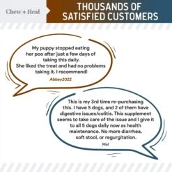 Chew + Heal MaxProtect Coprophagia & Digestive Soft Chew Supplement For Dogs, 240 Count 13 Chew + Heal MaxProtect Coprophagia & Digestive Soft Chew Supplement For Dogs, 240 Count -Pet Wellness 889566 PT5. AC SS1800 V1686942420