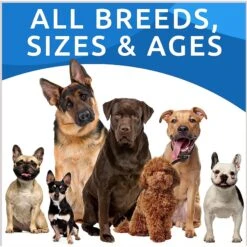 Bark&Spark Allergy Relief Immune Skin & Coat Support Bacon Flavor Chew Supplement For Dogs, 120 Count 15 Bark&Spark Allergy Relief Immune Skin & Coat Support Bacon Flavor Chew Supplement For Dogs, 120 Count -Pet Wellness 891662 PT7. AC SS1800 V1688073590