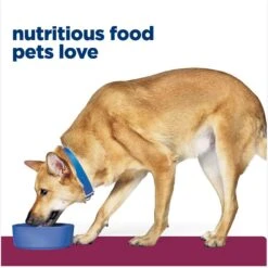 Hill's Prescription Diet I/d Digestive Care Chicken Flavor Dry Dog Food -Pet Wellness 89368 PT2. AC SS1800 V1647293852