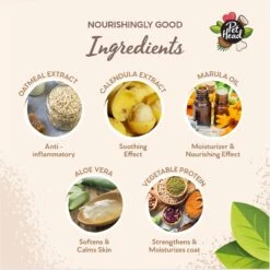 Pet Head Sensitive Soul Gentle Formula Shampoo, 16-oz Bottle -Pet Wellness 894030 PT4. AC SS1800 V1688579699