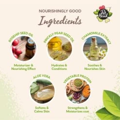 Pet Head Mucky Puppy Shampoo, 16-oz Bottle -Pet Wellness 894094 PT4. AC SS1800 V1688419241