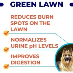 GoodGrowlies Grass Burn Spot Natural Urine Neutralizer Chew Supplement For Dogs, 120 Count -Pet Wellness 894174 PT2. AC SS1800 V1688652404