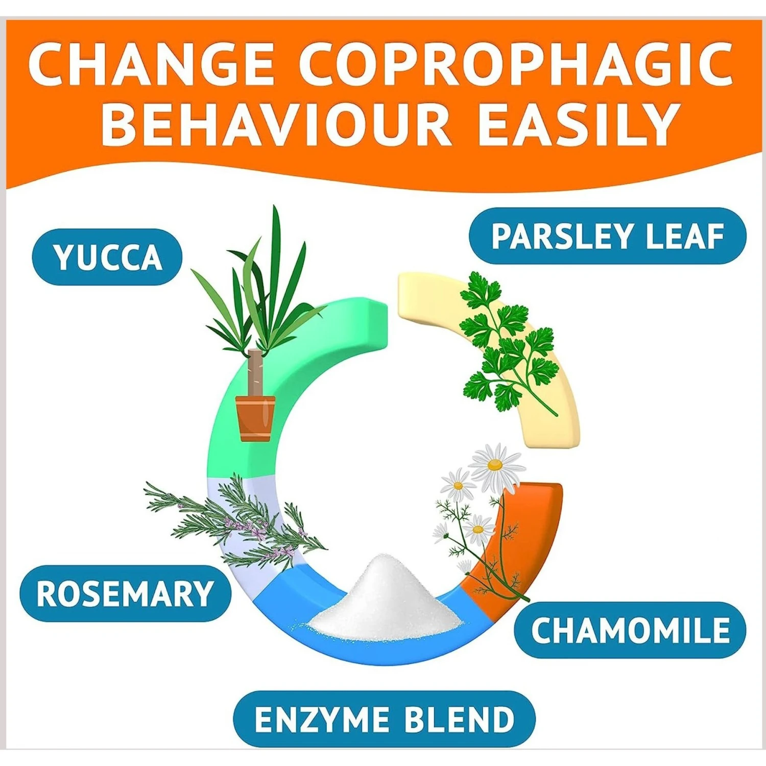 GoodGrowlies Chew No Poo Coprophagia Natural Stool Eating Deterrent & Breath Aid Chew Supplement For Dogs, 120 Count 4 GoodGrowlies Chew No Poo Coprophagia Natural Stool Eating Deterrent & Breath Aid Chew Supplement For Dogs, 120 Count - Image 4