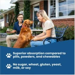 Paramount Pet Health Glucosamine Hip & Joint Large Dog Supplement -Pet Wellness 894222 PT4. AC SS1800 V1687982887