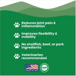 Paramount Pet Health Vegetarian K9 Glucosamine Liquid Dog Supplement -Pet Wellness 894238 PT2. AC SS1800 V1687982886