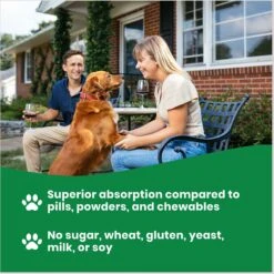 Paramount Pet Health Vegetarian K9 Glucosamine Liquid Dog Supplement -Pet Wellness 894238 PT4. AC SS1800 V1687982886