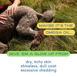 Native Pet Beef Bone Broth Powder Dog & Cat Food Topper & Native Pet Omega 3 Fish Oil To Support Skin & Coat Health Dog Supplement -Pet Wellness 894406 PT8. AC SS1800 V1701115252