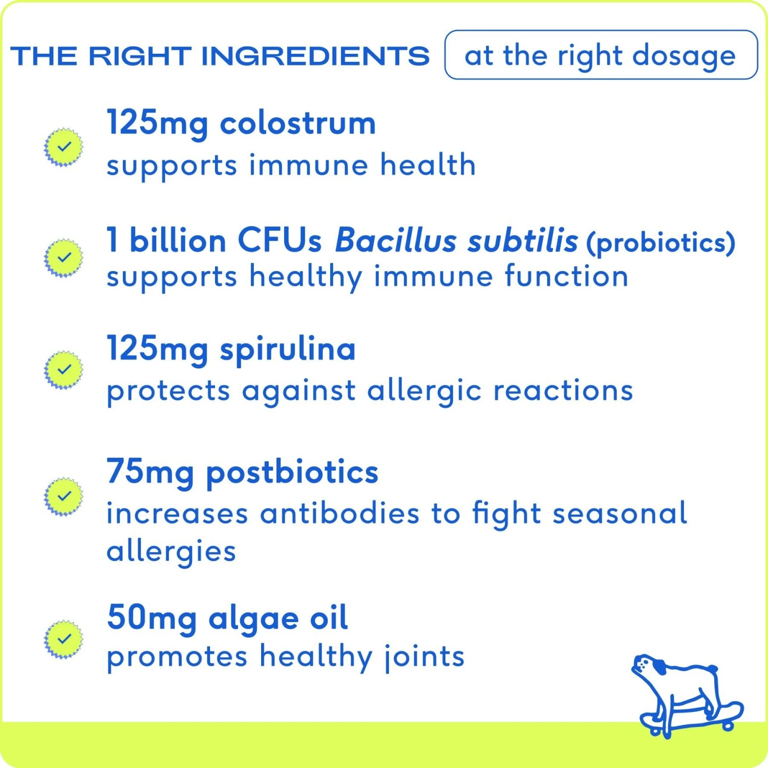 Native Pet Organic Pumpkin Fiber Powder Dog Supplement & Native Pet Allergy Air-Dried Supplement To Support Seasonal Skin Allergies Dog Supplement 7 Native Pet Organic Pumpkin Fiber Powder Dog Supplement & Native Pet Allergy Air-Dried Supplement To Support Seasonal Skin Allergies Dog Supplement - Image 7