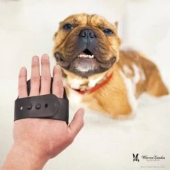 Warren London Bath Dog Brush -Pet Wellness 894942 PT6. AC SS1800 V1687885906