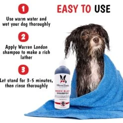 Warren London Magic Black Brightening Dog Shampoo, 17-oz Bottle -Pet Wellness 894998 PT2. AC SS1800 V1687885969
