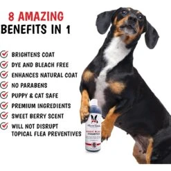 Warren London Magic Black Brightening Dog Shampoo, 17-oz Bottle -Pet Wellness 894998 PT4. AC SS1800 V1687885912