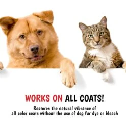 Warren London Magic Black Brightening Dog Shampoo, 17-oz Bottle -Pet Wellness 894998 PT6. AC SS1800 V1687886028