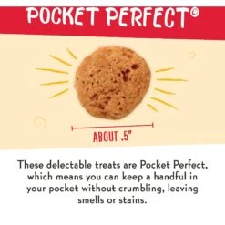Charlee Bear Natural Bear Crunch Grain-Free Turkey, Sweet Potato & Cranberry Dog Treats -Pet Wellness 89510 PT4. AC SS1800 V1588769874