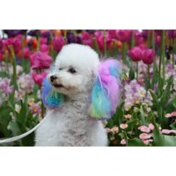 Warren London Canine Color Semi-Perm Dog Shampoo -Pet Wellness 895118 PT4. AC SS1800 V1687885967