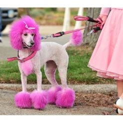 Warren London Canine Color Semi-Perm Dog Shampoo -Pet Wellness 895118 PT6. AC SS1800 V1687891757