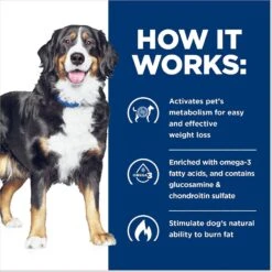 Hill's Prescription Diet Metabolic + Mobility J/d Chicken Flavor Dry Dog Food 14 Hill's Prescription Diet Metabolic + Mobility J/d Chicken Flavor Dry Dog Food -Pet Wellness 89568 PT5. AC SS1800 V1651697188