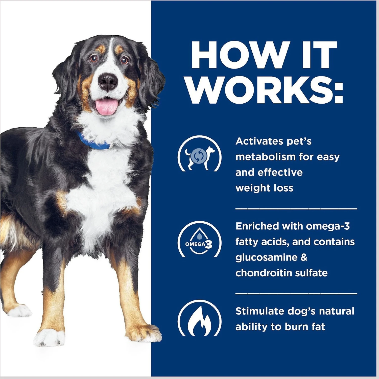 Hill's Prescription Diet Metabolic + Mobility J/d Chicken Flavor Dry Dog Food 6 Hill's Prescription Diet Metabolic + Mobility J/d Chicken Flavor Dry Dog Food - Image 6