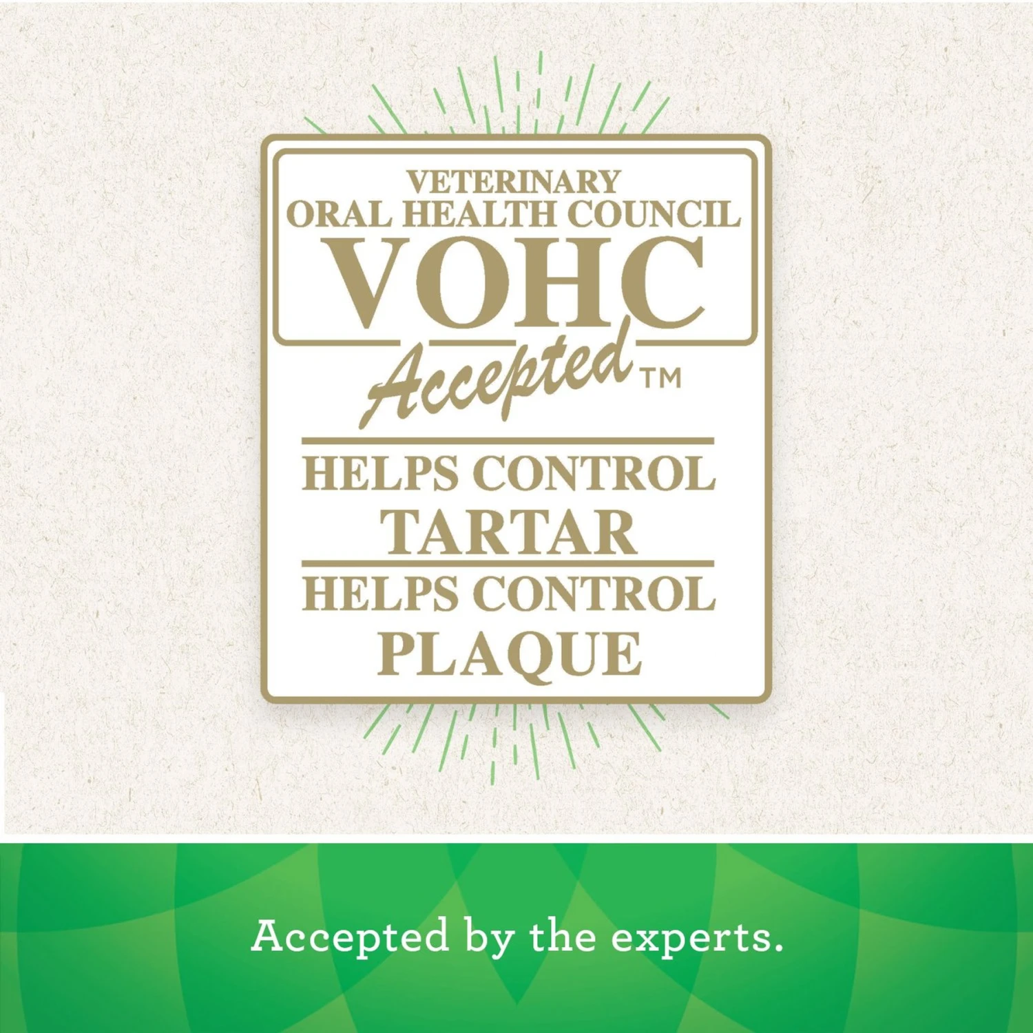 Greenies Gingerbread Flavor Regular Dental Dog Treats, 12 Count 9 Greenies Gingerbread Flavor Regular Dental Dog Treats, 12 Count - Image 9