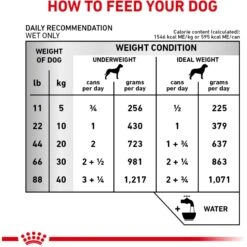 Royal Canin Veterinary Diet Adult Renal Support T Loaf Canned Dog Food -Pet Wellness 90644 PT6. AC SS1800 V1701379570