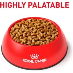 Royal Canin Veterinary Diet Adult Renal Support S Dry Dog Food 11 Royal Canin Veterinary Diet Adult Renal Support S Dry Dog Food -Pet Wellness 90649 PT2. AC SS1800 V1701379828