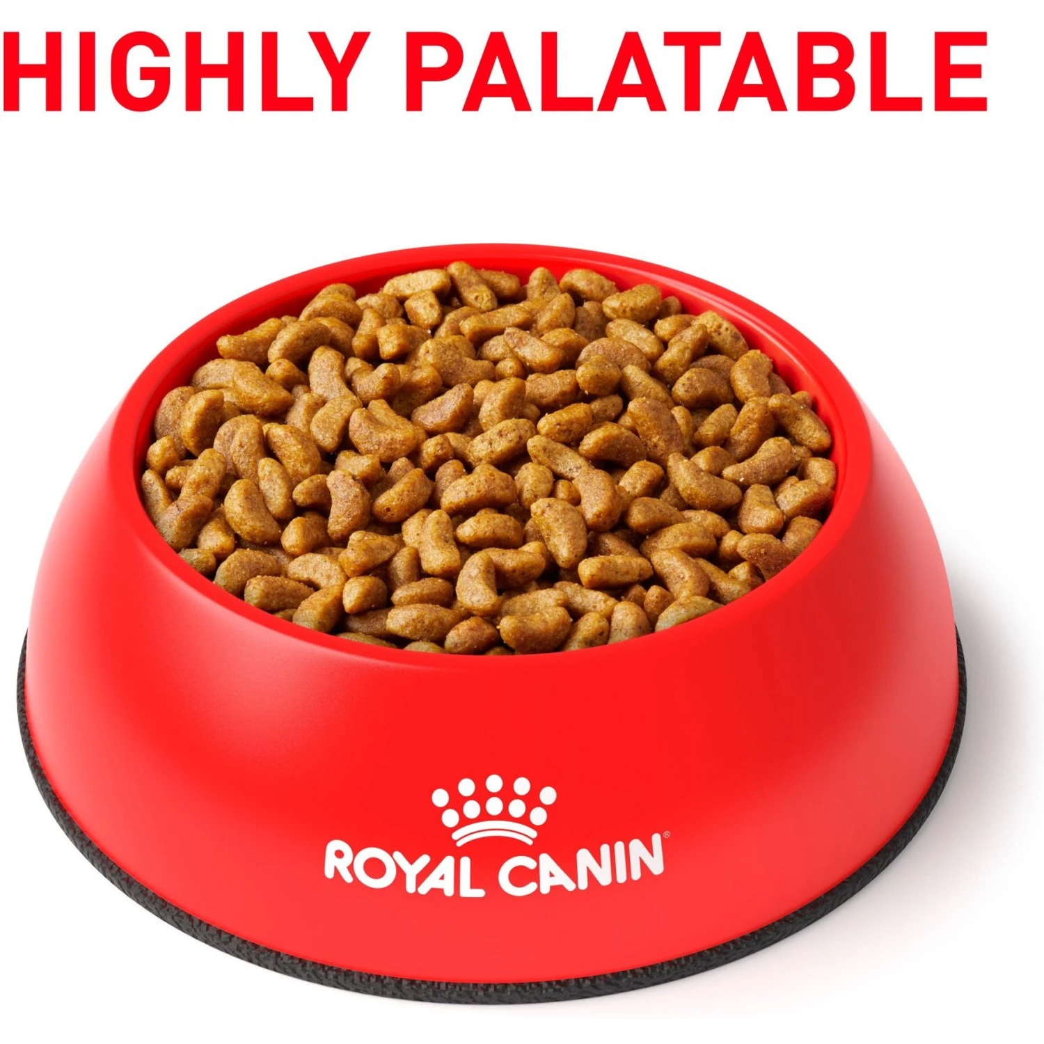 Royal Canin Veterinary Diet Adult Renal Support S Dry Dog Food 3 Royal Canin Veterinary Diet Adult Renal Support S Dry Dog Food - Image 3