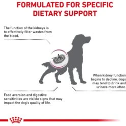 Royal Canin Veterinary Diet Adult Renal Support F Dry Dog Food -Pet Wellness 90667 PT3. AC SS1800 V1701379826