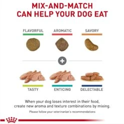 Royal Canin Veterinary Diet Adult Renal Support F Dry Dog Food -Pet Wellness 90667 PT5. AC SS1800 V1701379784