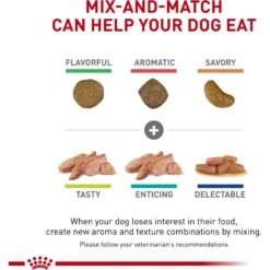 Royal Canin Veterinary Diet Adult Renal Support D Thin Slices In Gravy Canned Dog Food -Pet Wellness 90673 PT7. AC SS1800 V1701379766